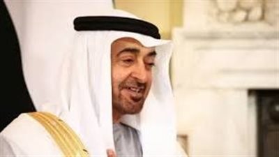 الرئيس الإماراتي يؤكد لـ