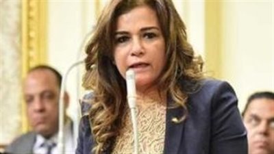 نائب بمناقشات مشروع قانون الضمان الاجتماعى: 