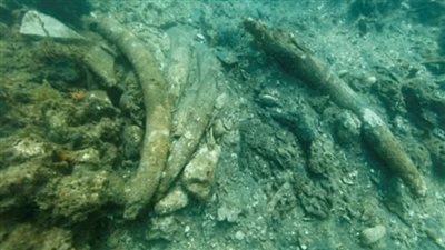 العثور على بقايا سفينة المستكشف فاسكو دا غاما الأخيرة