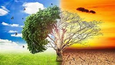 مصر في المركز الـ 20 عالميًا والثاني عربيًا بمؤشر تغير المناخ