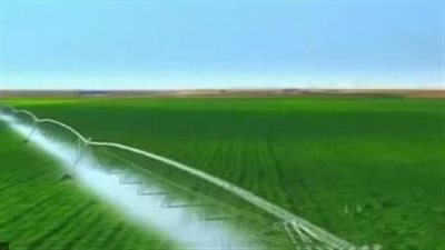 ثورة خضراء في مصر.. إنجازات غير مسبوقة بالقطاع الزراعي