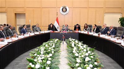 الوزير: خطة لإقامة مدينة متكاملة لتصنيع إطارات السيارات والصناعات المغذية لها