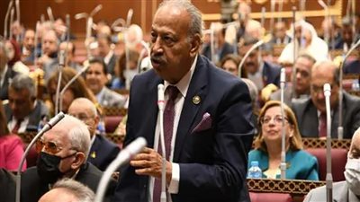 النائب هاني العسال: مصر حققت موسم سياحي قياسي للعام الثاني على التوالي 