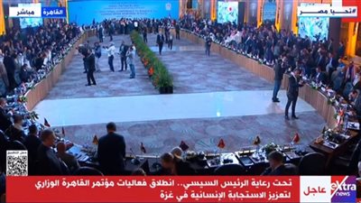 باحثة: مؤتمر القاهرة الوزاري لدعم غزة هدفه الحشد الدولي للضغط على إسرائيل 