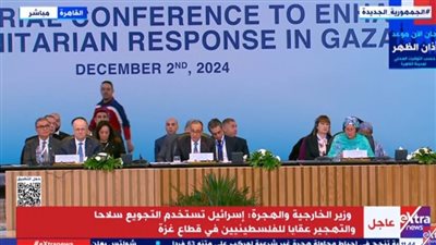 وزير الخارجية: نجتمع في ظل استمرار المأساة غير المسبوقة في غزة