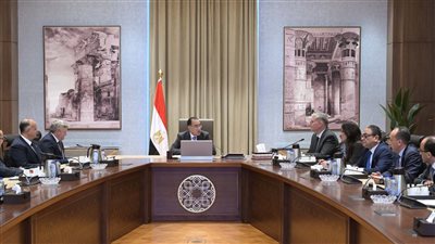 رئيس الوزراء يلتقي الرئيس التنفيذي لشركة 