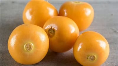 الحرنكش بديل الكولاجين.. تعرف على فوائده للبشرة والصحة