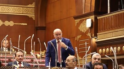 النائب حازم الجندي: مؤتمر القاهرة لدعم غزة رسالة عالمية للحفاظ على حقوق الشعب الفلسطيني