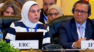 الهلال الأحمر المصري: يجب ضمان تدفق المساعدات إلى قطاع غزة دون توقف