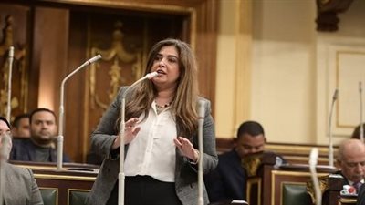 أميرة العادلى: قانون الضمان الاجتماعى يحقق رغبات المصريين فى العدالة الإجتماعية بعد ثورتين