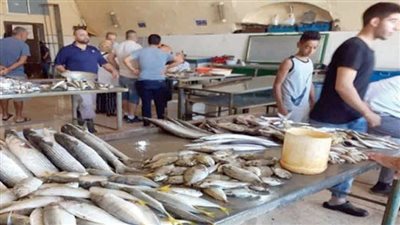 أسعار الأسماك في الأسواق اليوم الثلاثاء