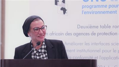 وزيرة البيئة تفتتح المائدة المستديرة الثانية للمنتدى الأفريقي (AFEPA)