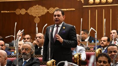 النائب فرج فتحي: مؤتمر تعزيز الاستجابة لغزة اختبار حقيقي لجدية المجتمع الدولي