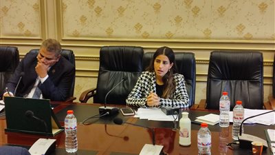 لجنة إعلام النواب تناقش افتتاح قصر ثقافة الغردقة 