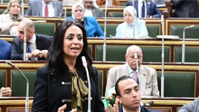 فوائد الدعم المالي في مشروع قانون 