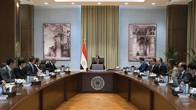 مدبولي يلتقي مُمثل 