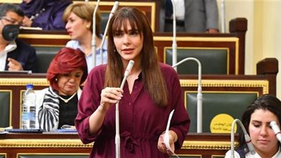 النائبة فاطمة سليم تتقدم بطلب إحاطة بشأن أوضاع طلاب الدمج في المدارس