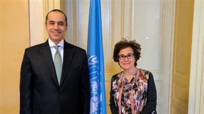 وزير الشئون النيابية يلتقي نائب المفوض السامي لحقوق الإنسان في جنيف