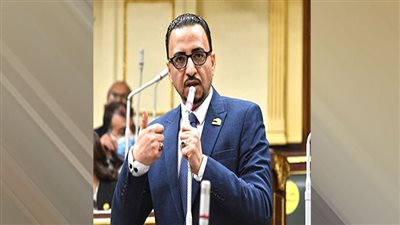 النائب محمد عزت القاضي: مشروع قانون الضمان الاجتماعى ينتصر للعدالة الاجتماعية