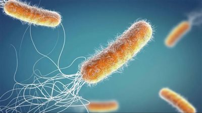 المضادات الحيوية.. بين الأمل والتحدي في مواجهة 