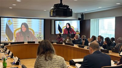 المشاط: التمويل من أجل التنمية أولوية للمجتمع الدولي لمواجهة التحديات المتزايدة