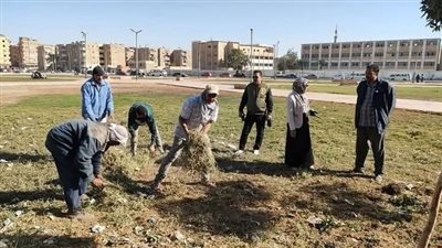 رفع كفاءة وتطوير شارع ماهر والسكة الحديد بالسويس