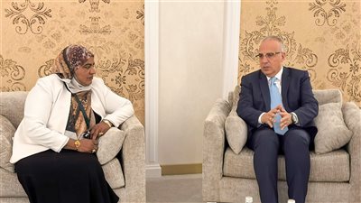 وزير الري: السد الإثيوبي بدأ إنشاؤه من دون أي تشاور أو دراسات تتعلق بالسلامة