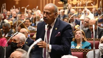 النائب هاني العسال: حديث الرئيس للإعلاميين اتسم بالمصارحة والشفافية 