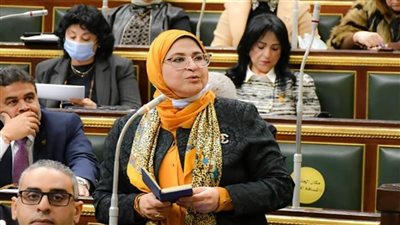 النائبة هناء سرور: جولة الرئيس السيسى لدول أوروبا تاريخية ولها أهمية كبرى