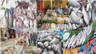 أسماك بلدنا.. حرام على المصريين