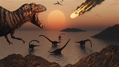 دراسة:  ثلث الكائنات الحية حول العالم معرضة للانقراض بحلول نهاية القرن