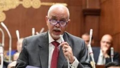 النائب حازم الجندي يدعو لتعزيز العمل العربي المشترك لإعادة إعمار سوريا 