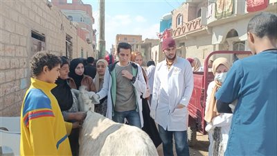 تحصين 490 رأس ماشية بقافلة جامعة سوهاج في قرية الكولة 