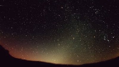 دعوة إلى حماية الفطرة والإعمار في الأرض: الشرع طريق البناء والوعي