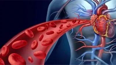 انتبه.. علامات تحذيرية لضعف الدورة الدموية الخطير