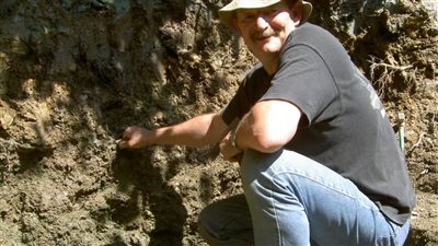 اكتشاف جديد: الديناصورات آكلة اللحوم كانت تعيش في بريطانيا قبل 135 عامًا 