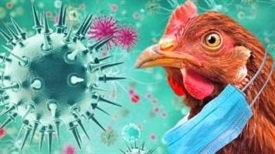 تطوير طريقة جديدة لتشخيص الأمراض الفيروسية لدى الطيور