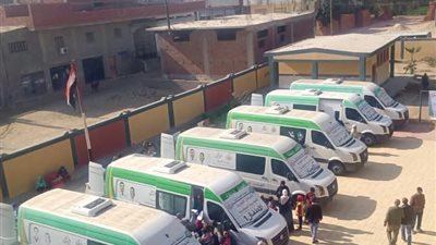 صحة الإسماعيلية تنظم قوافل طبية بقرى القصاصين وأبو صوير