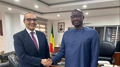 السفير المصري في السنغال يبحث مع وزير الدفاع سبل تعزيز التعاون