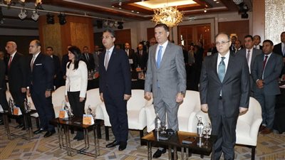 وزير الزراعة: الحكومة المصرية تبذل جهودًا كبيرة للنهوض بالاقتصاد