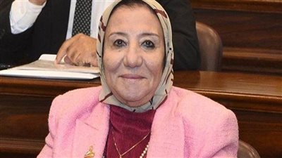 نائبة: مصر لديها جيش قوي قادر على حماية البلاد