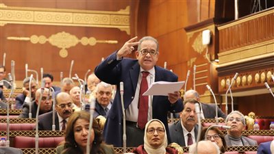 برلمانية الوفد: تضامن المنشاة والطبيب في المسئولية الطبية يعوق جبر الضرر