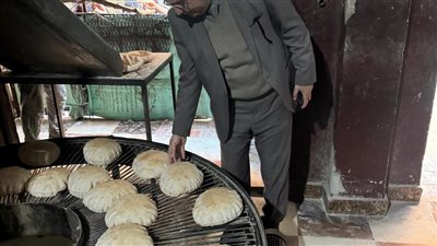 الدقهلية: ضبط أكثر من 3 طن دجاج ومنتجات لحوم وأغذية متنوعة 