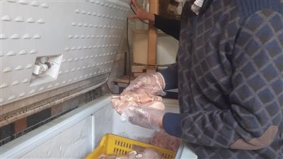 ضبط 553 كجم أسماك ودواجن  غير صالحة للاستهلاك الآدمي بكفر الزيات 