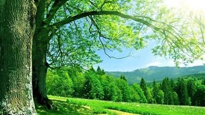 هل كان آدم في جنة الآخرة أم جنة مختلفة؟