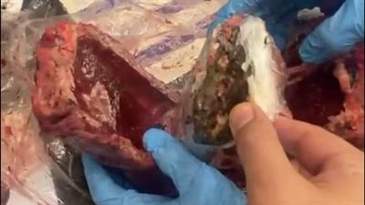 القبض على سيدة حاولت تهريب مخدرات داخل لحوم مجمدة بمطار القاهرة الجوى