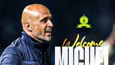 صن داونز يقرر تعيين مدير فني جديد 