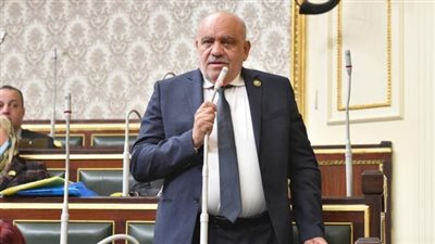 النائب سيد حنفى : جولة الرئيس السيسى الأوروبية حققت مكاسب اقتصادية كبيرة لمصر