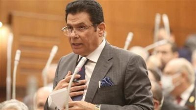 النائب محمد الصالحي يطالب الحكومة بوضع برامج تنفيذية للاستفادة من نجاح جولة الرئيس الأوروبية