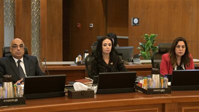 وزيرة التنمية المحلية تعرض خطة تطوير المجازر على مستوى الجمهورية